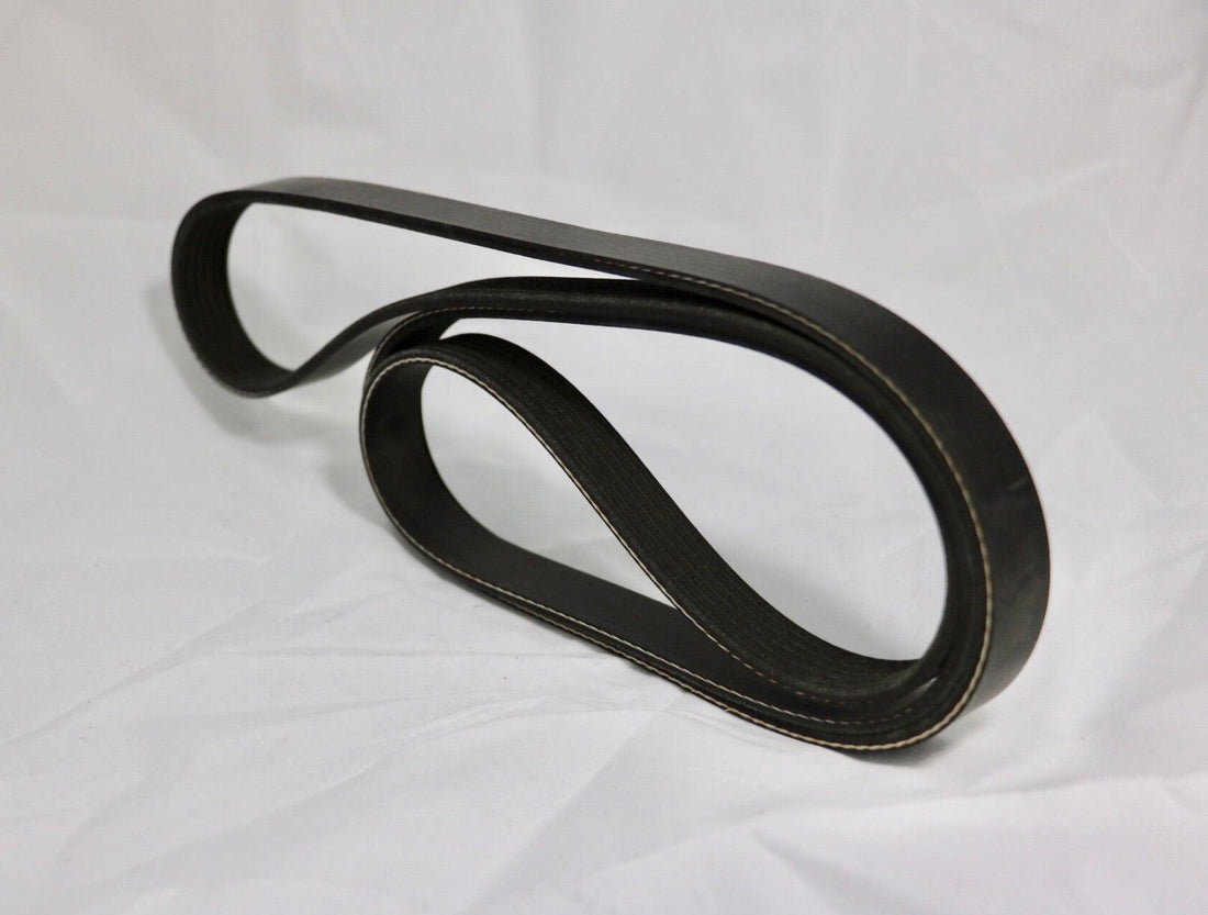 Belt, Serpentine 1650296